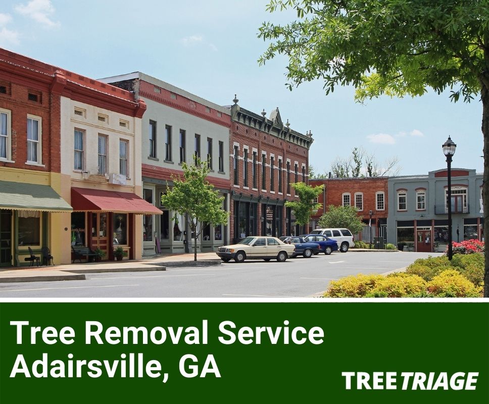 Tree Removal Service Adairsville, GA-1