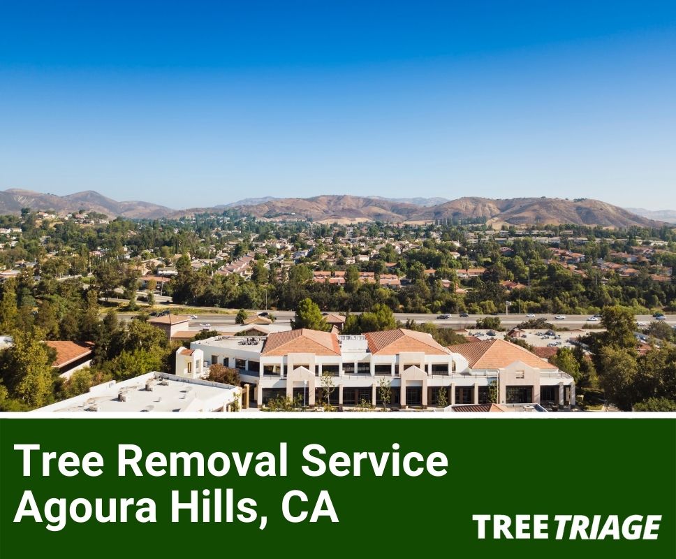 Tree Removal Service Agoura Hills, CA-2
