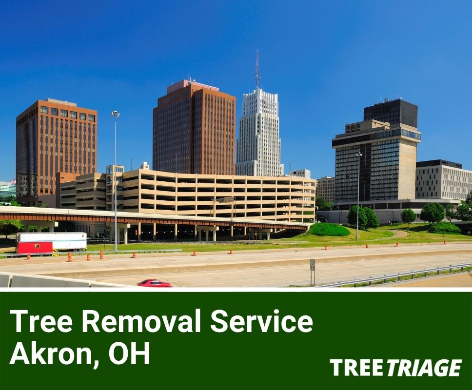 Tree Removal Service Akron, OH-1