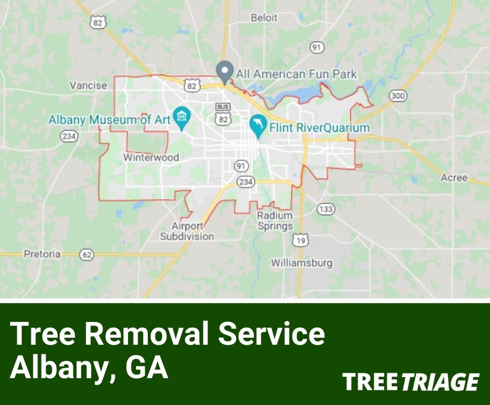 Tree Removal Service Albany, GA-1