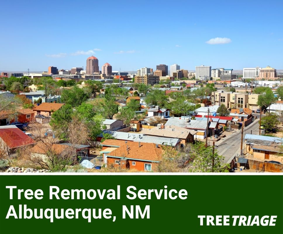 1 Tree Removal Company In Albuquerque, NM 2024 Top Rated