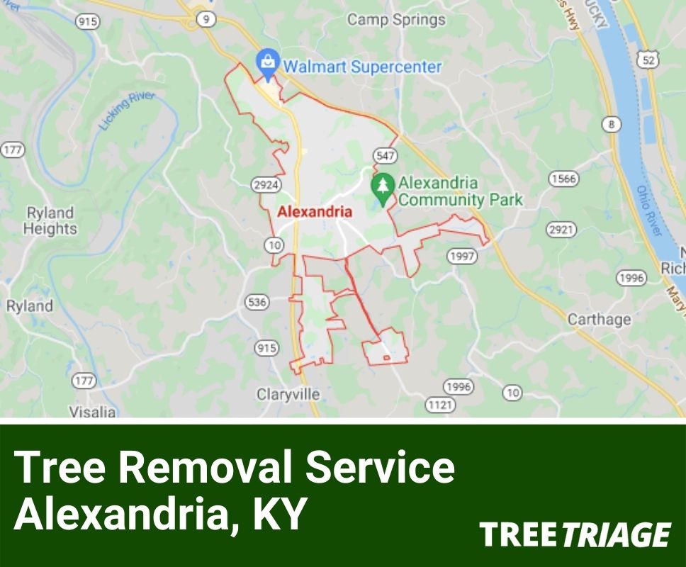 Tree Removal Service Alexandria, KY-1