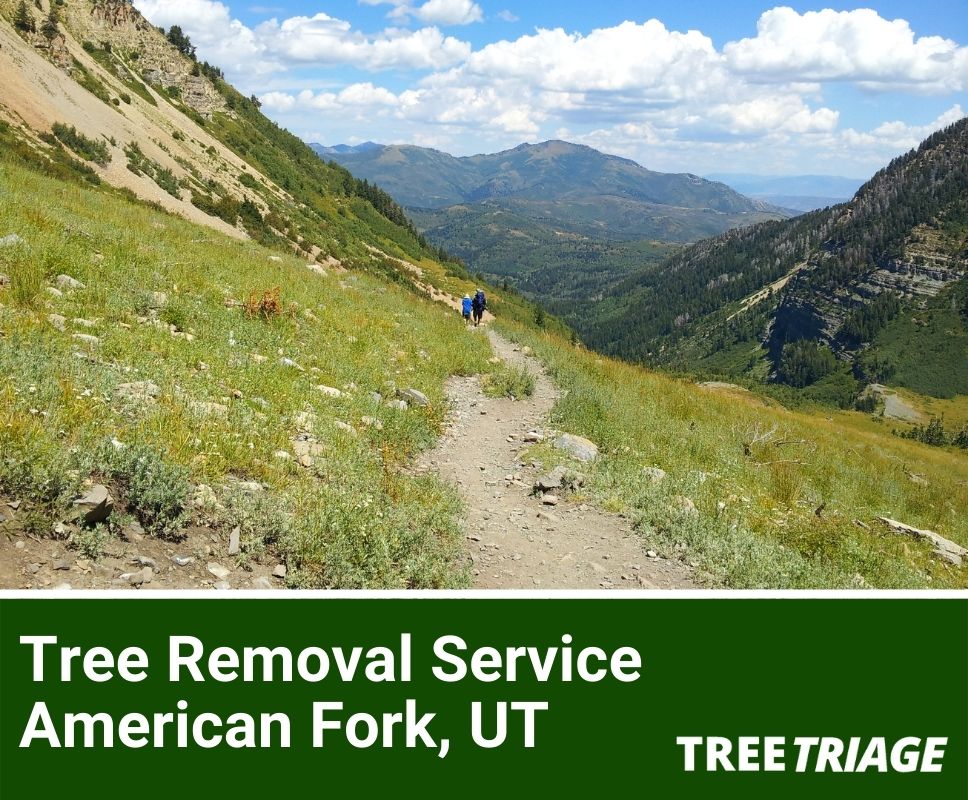 Tree Removal Service American Fork, UT-1