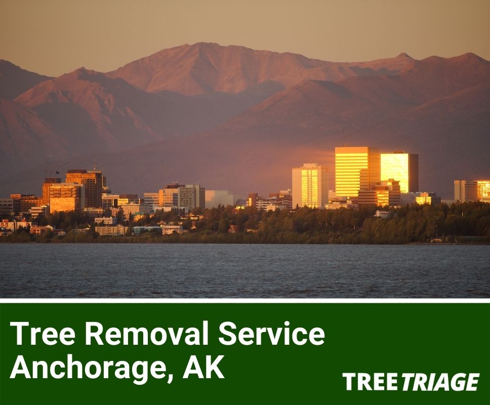 Tree Removal Service Anchorage, AK-1
