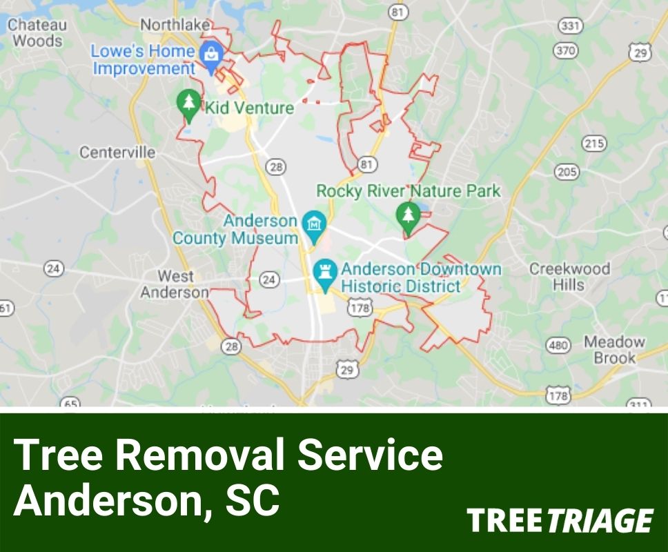 Tree Removal Service Anderson, SC-1
