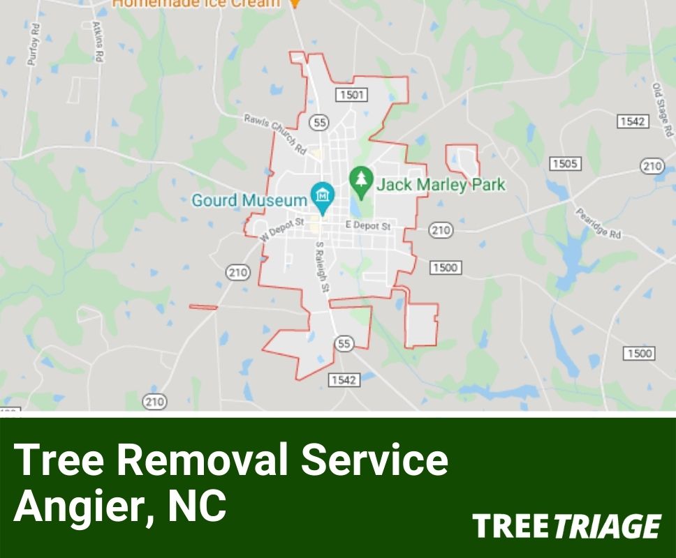 Tree Removal Service Angier, NC-2