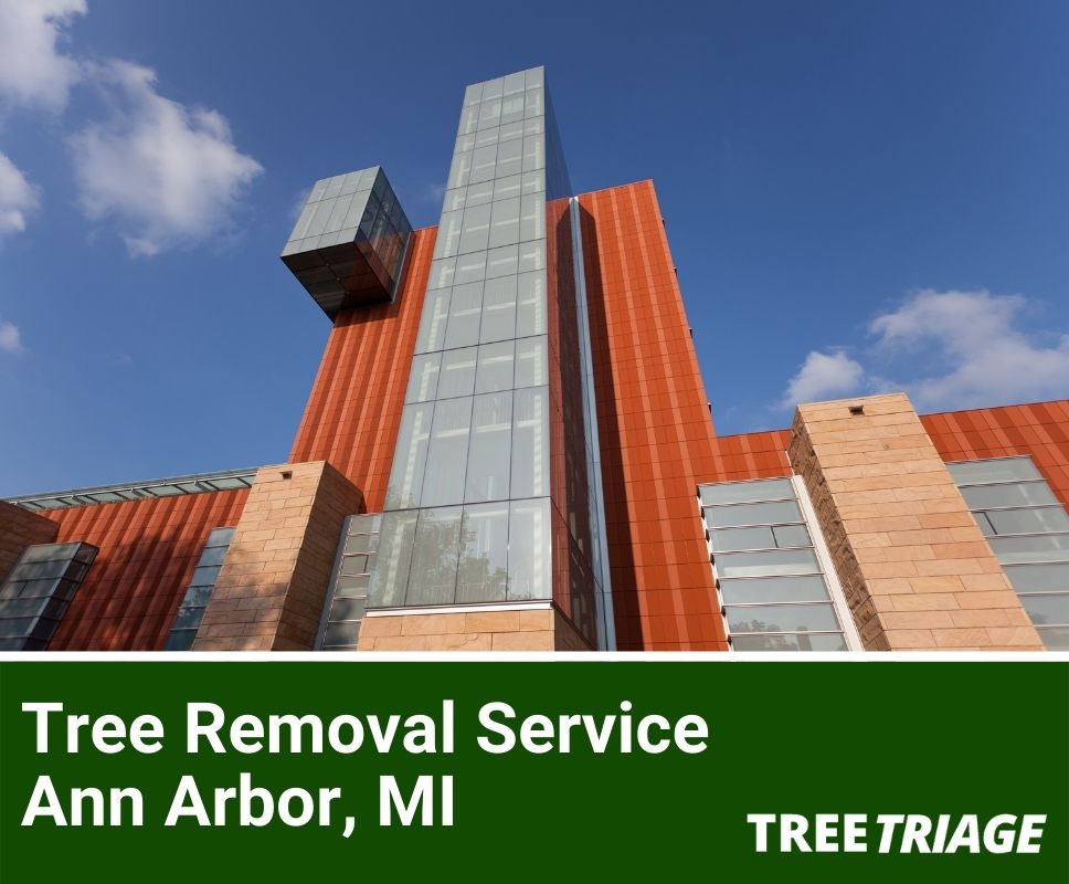 Tree Removal Service Ann Arbor, MI-2