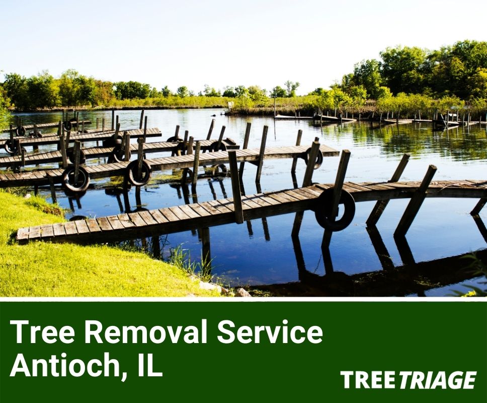 Tree Removal Service Antioch, IL-1