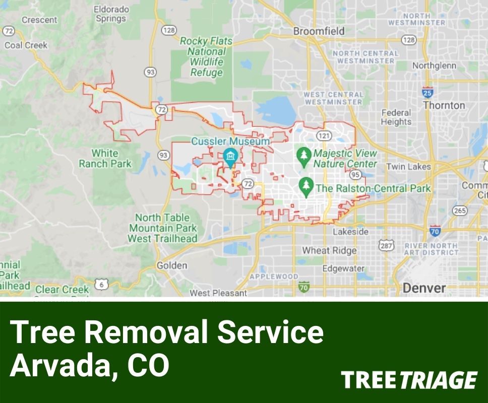Tree Removal Service Arvada, CO-1