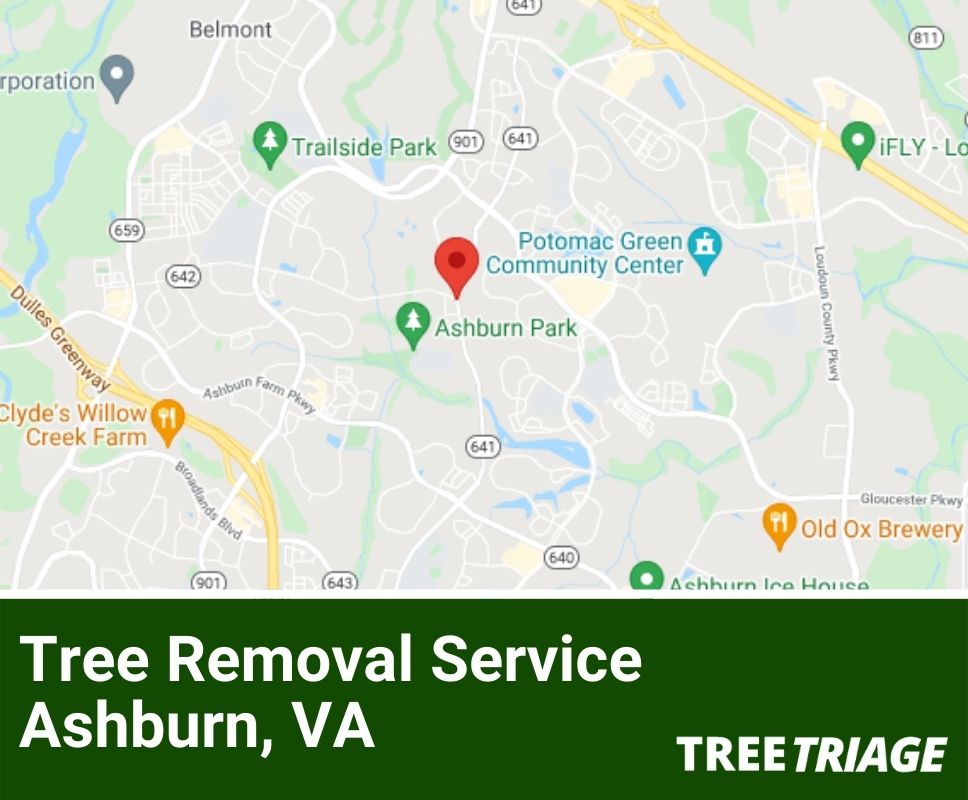 Tree Removal Service Ashburn, VA-1Tree Removal Service Ashburn, VA-1