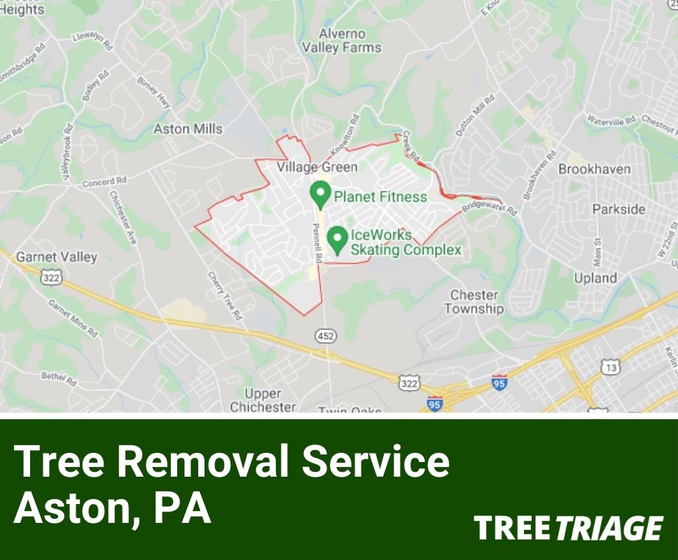 Tree Removal Service Aston, PA-1