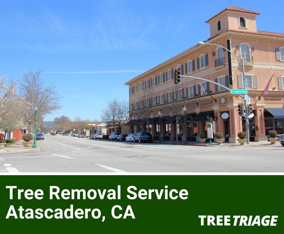 Tree Removal Service Atascadero, CA-1