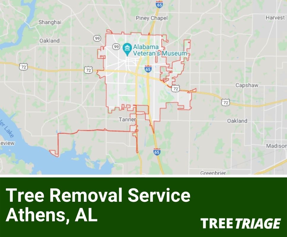 Tree Removal Service Athens, AL-1