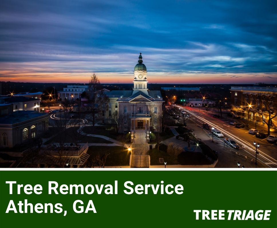 Tree Removal Service Athens, GA-1