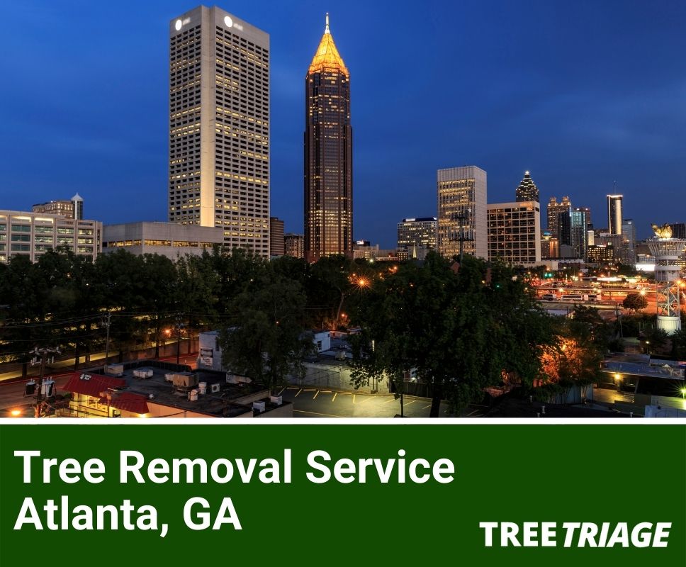 Tree Removal Service Atlanta, GA-1