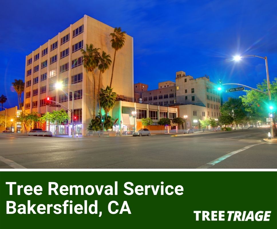 Tree Removal Service Bakersfield, CA-1