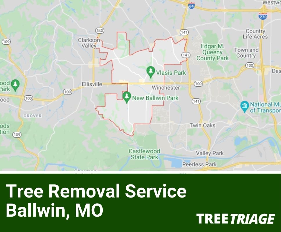 Tree Removal Service Ballwin, MO-1