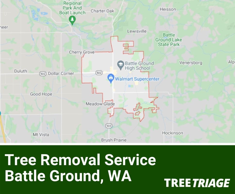Tree Removal Service Battle Ground, WA-1