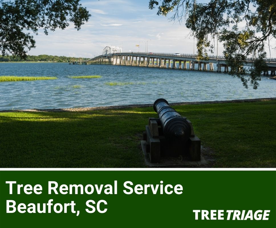 Tree Removal Service Beaufort, SC-1