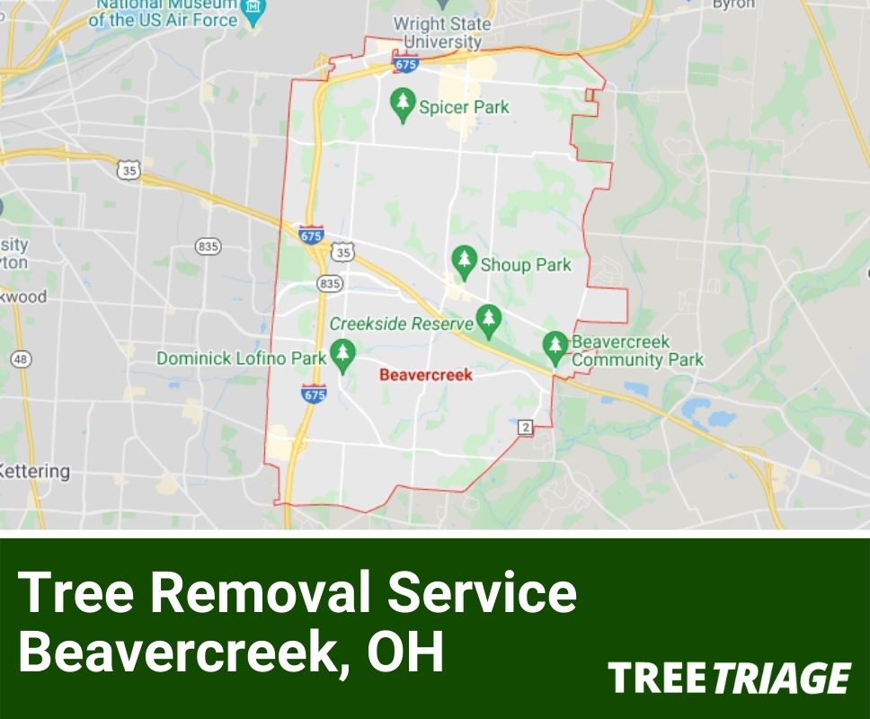 Tree Removal Service Beavercreek, OH-1