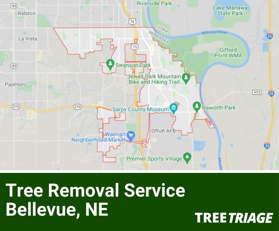 Tree Removal Service Bellevue, NE-1