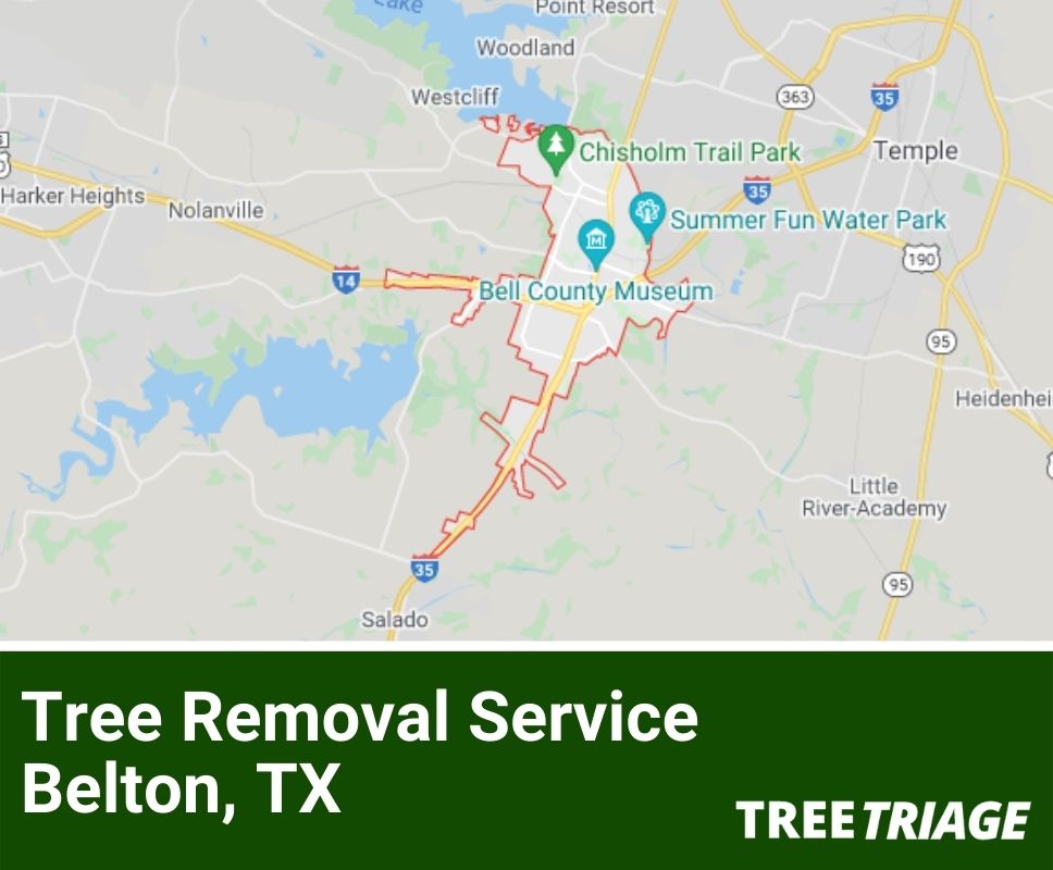 Tree Removal Service Belton, TX-1