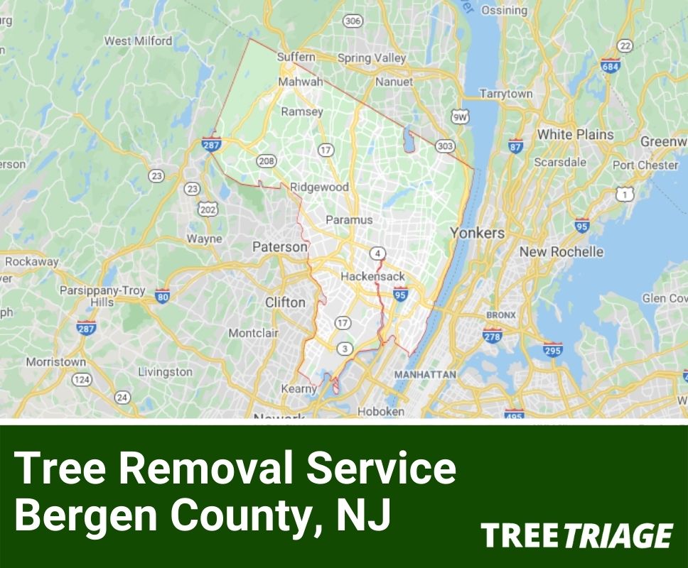 Tree Removal Service Bergen County, NJ-1