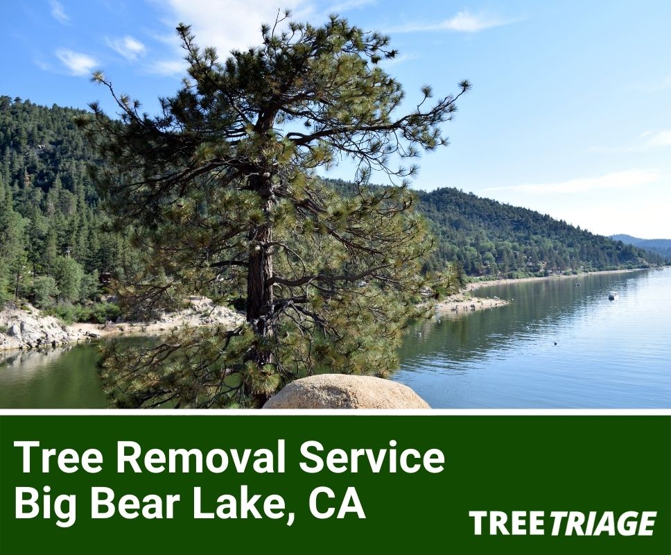 Tree Removal Service Big Bear Lake, CA-1