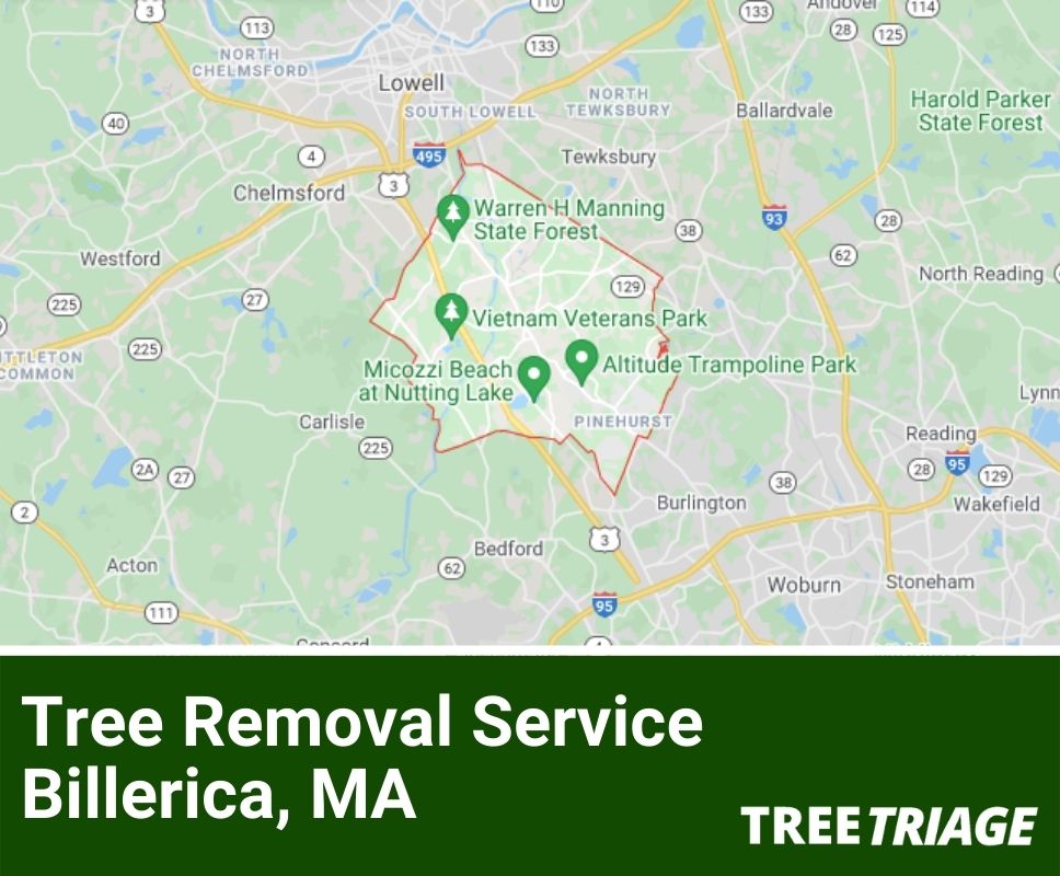 Tree Removal Service Billerica, MA-1