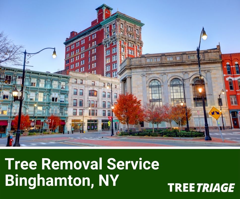 Tree Removal Service Binghamton, NY-1