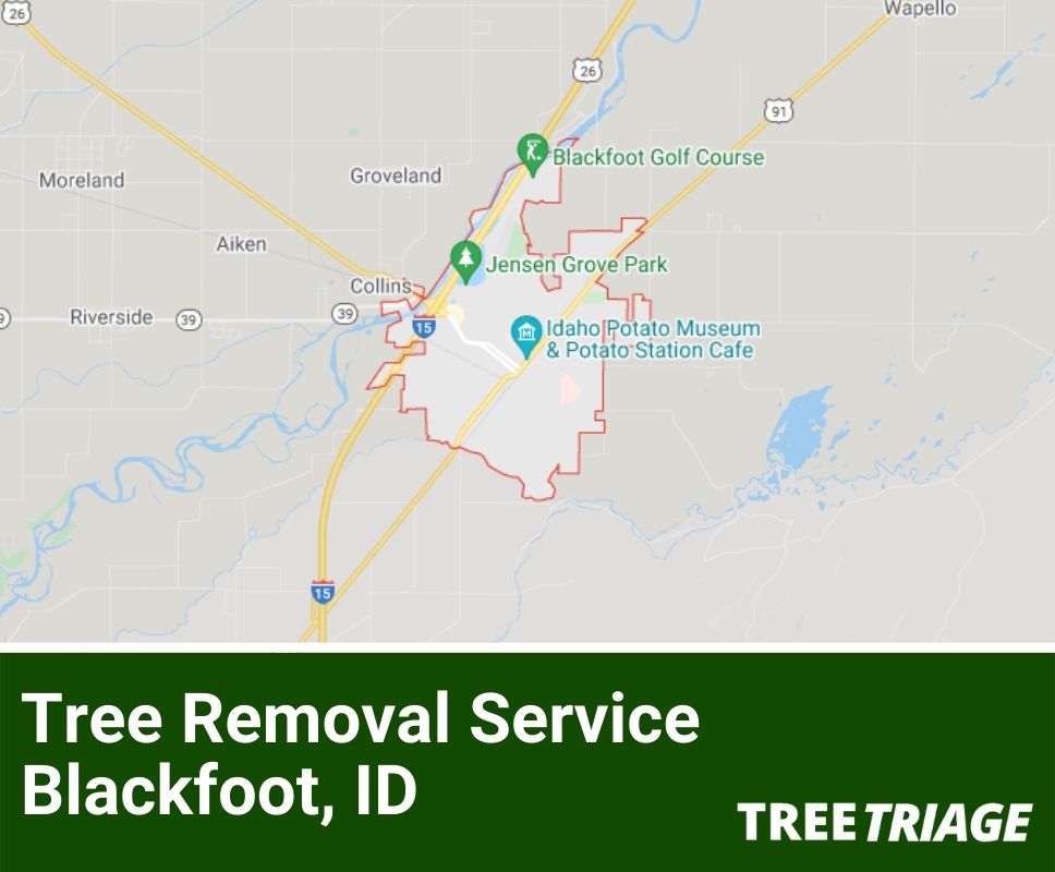 Tree Removal Service Blackfoot, ID-1