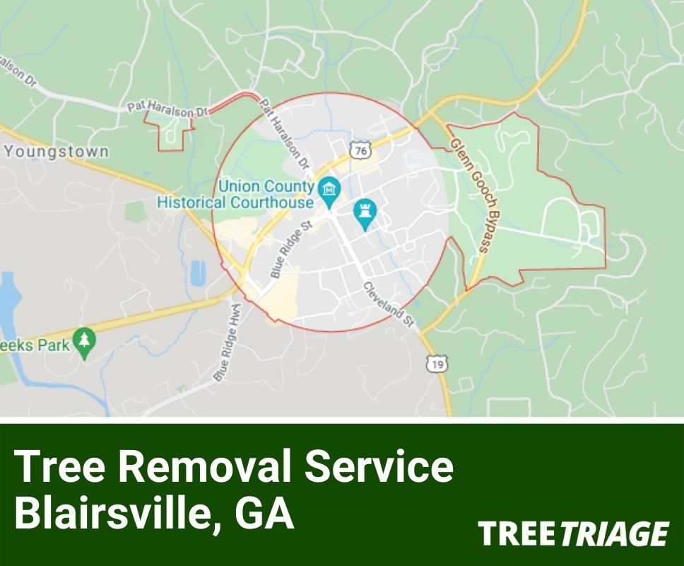 Tree Removal Service Blairsville, GA-1
