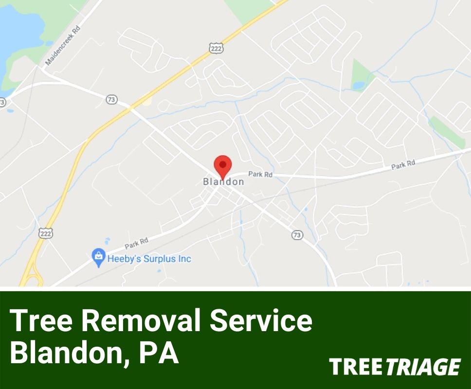 Tree Removal Service Blandon, PA-1