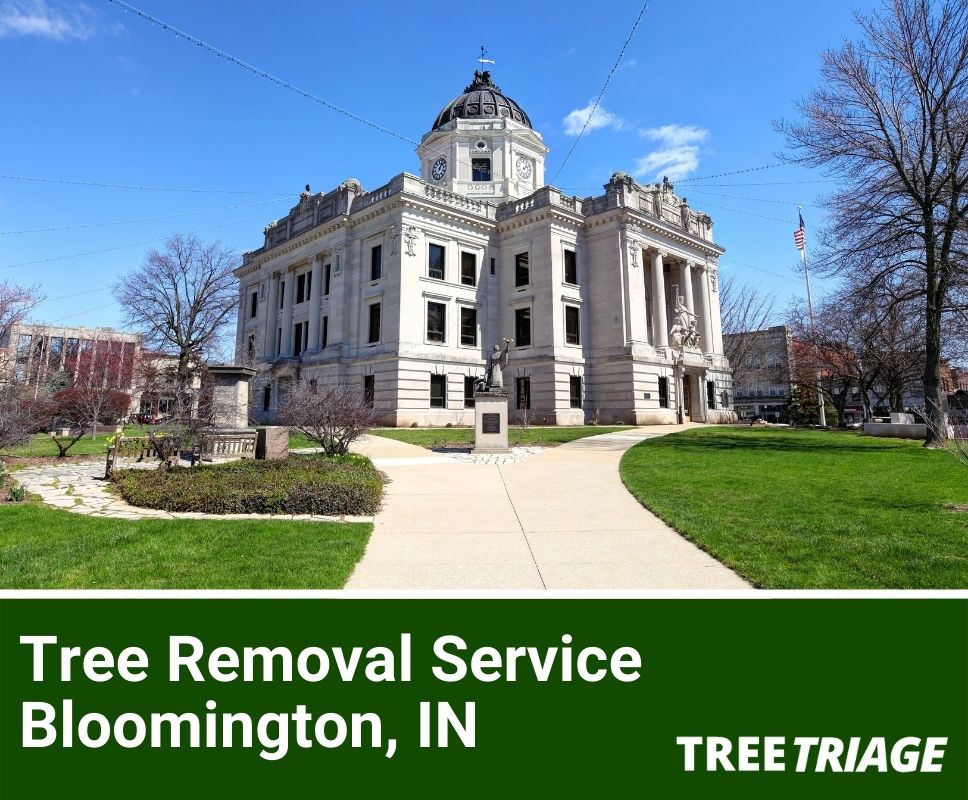Tree Removal Service Bloomington, IN-1