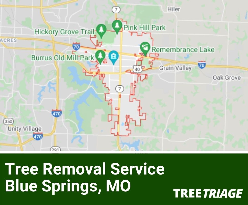 Tree Removal Service Blue Springs, MO-1