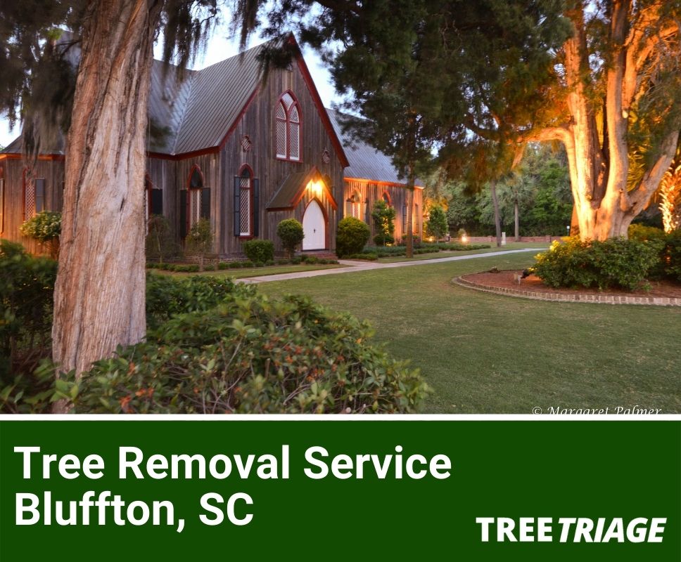 Tree Removal Service Bluffton, SC-1