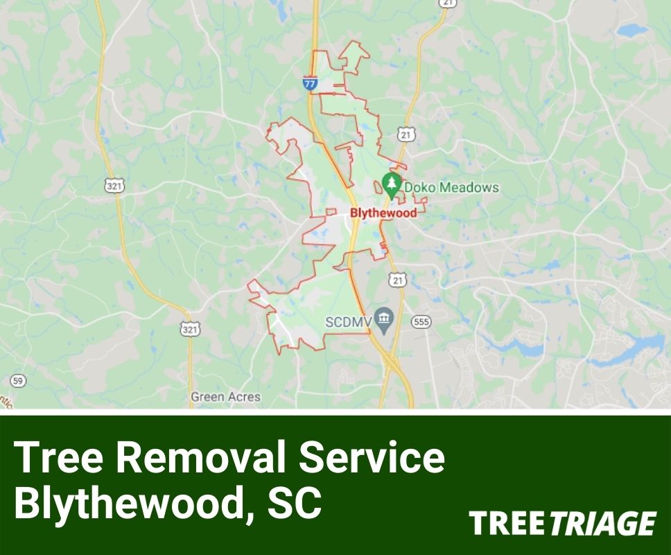 Tree Removal Service Blythewood, SC-1