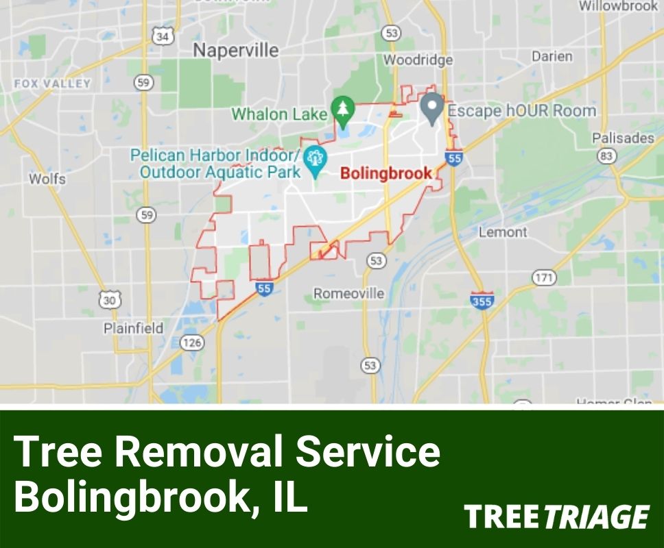 Tree Removal Service Bolingbrook, IL-1