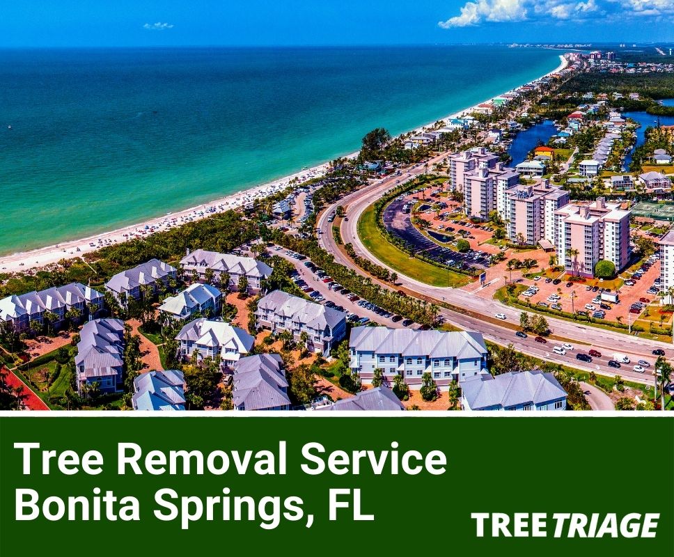 Tree Removal Service Bonita Springs, FL-1