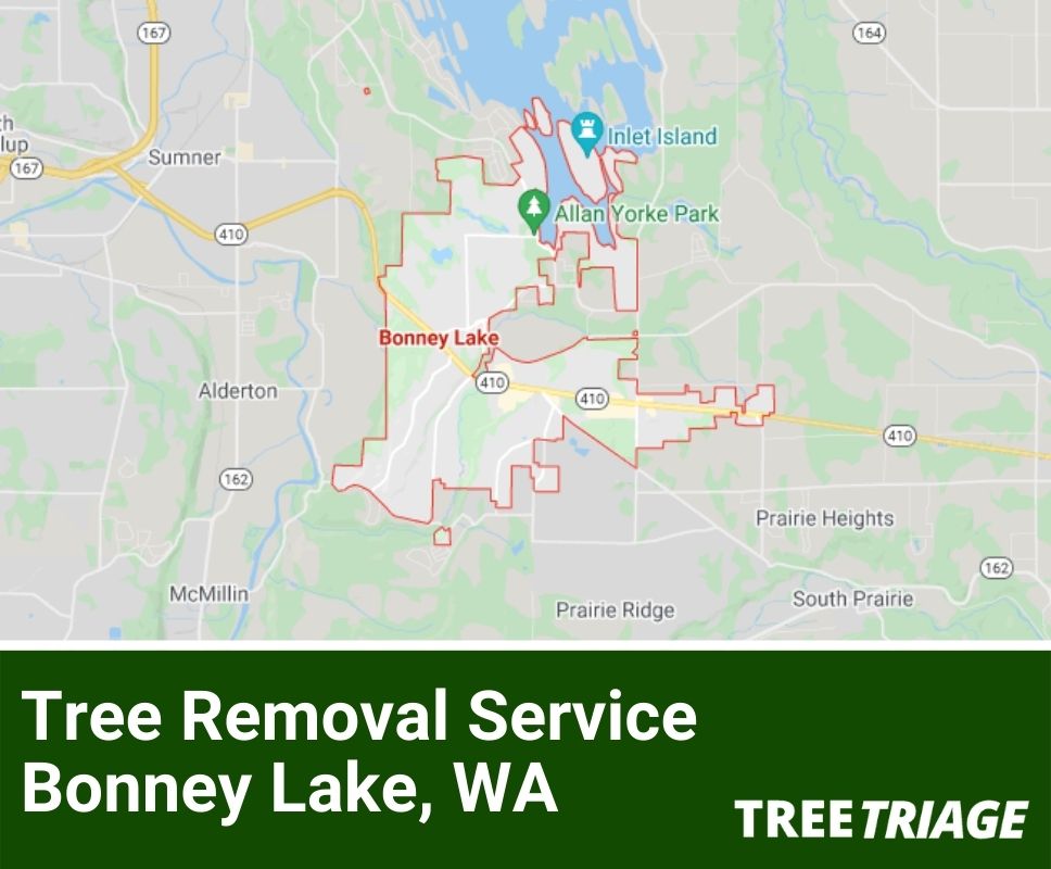 Tree Removal Service Bonney Lake, WA-1