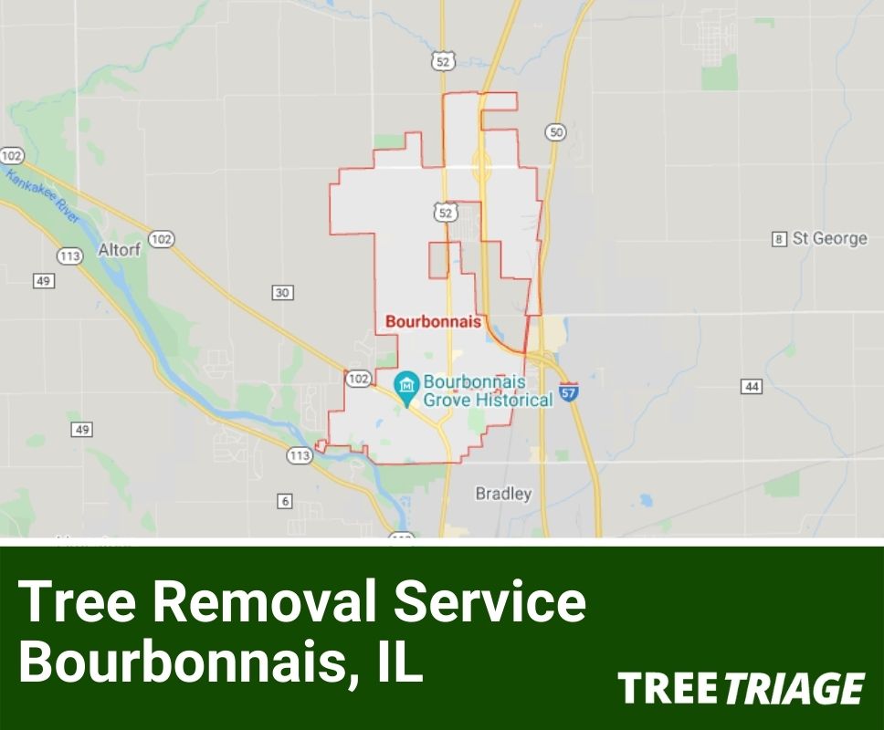Tree Removal Service Bourbonnais, IL-1