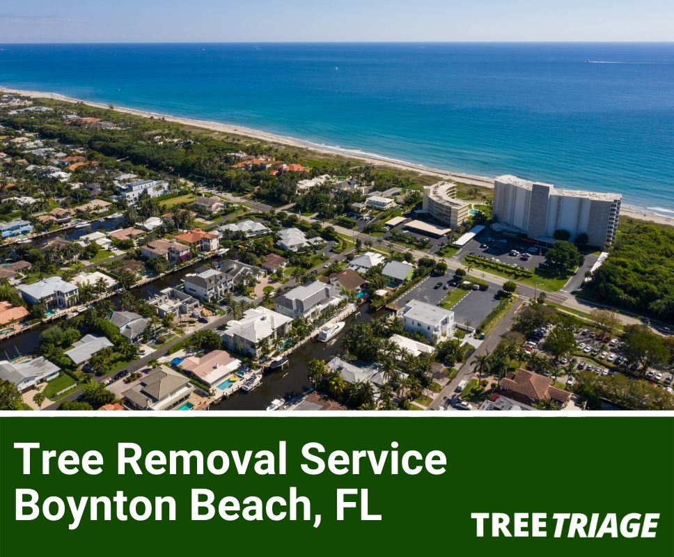 Tree Removal Service Boynton Beach, FL-1