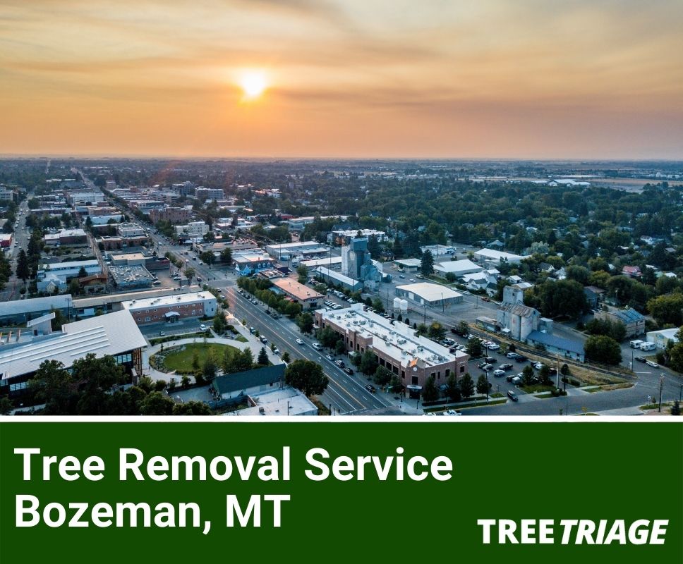 Tree Removal Service Bozeman, MT-1