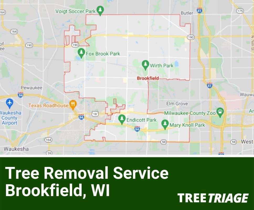 Tree Removal Service Brookfield, WI-1