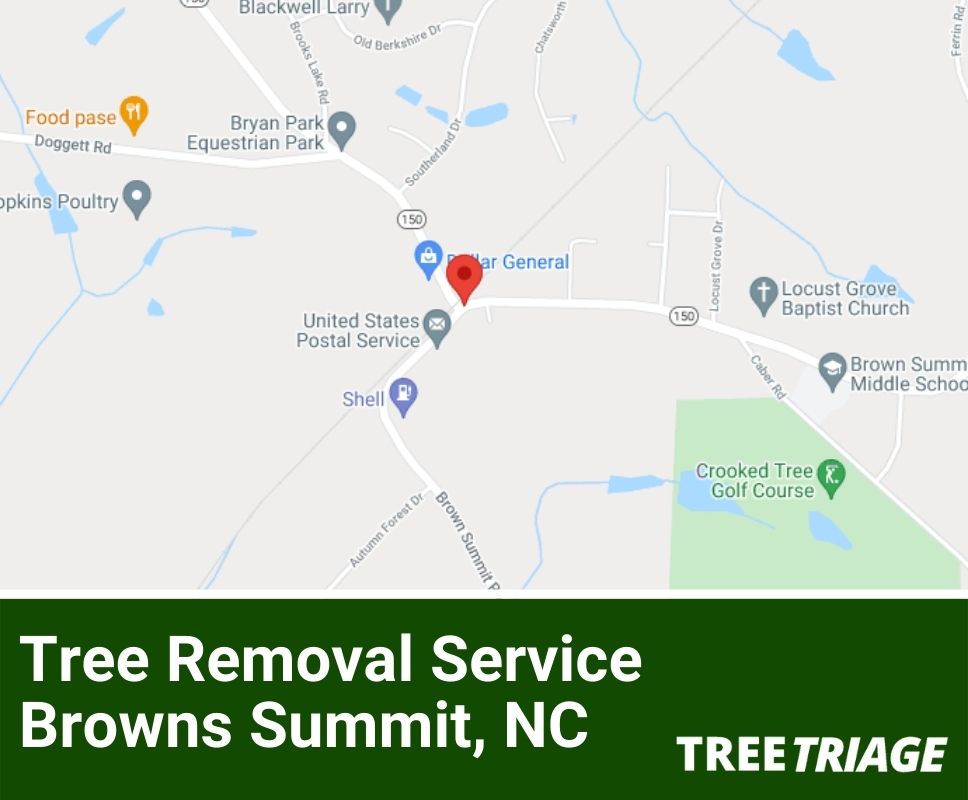 Tree Removal Service Browns Summit, NC-1