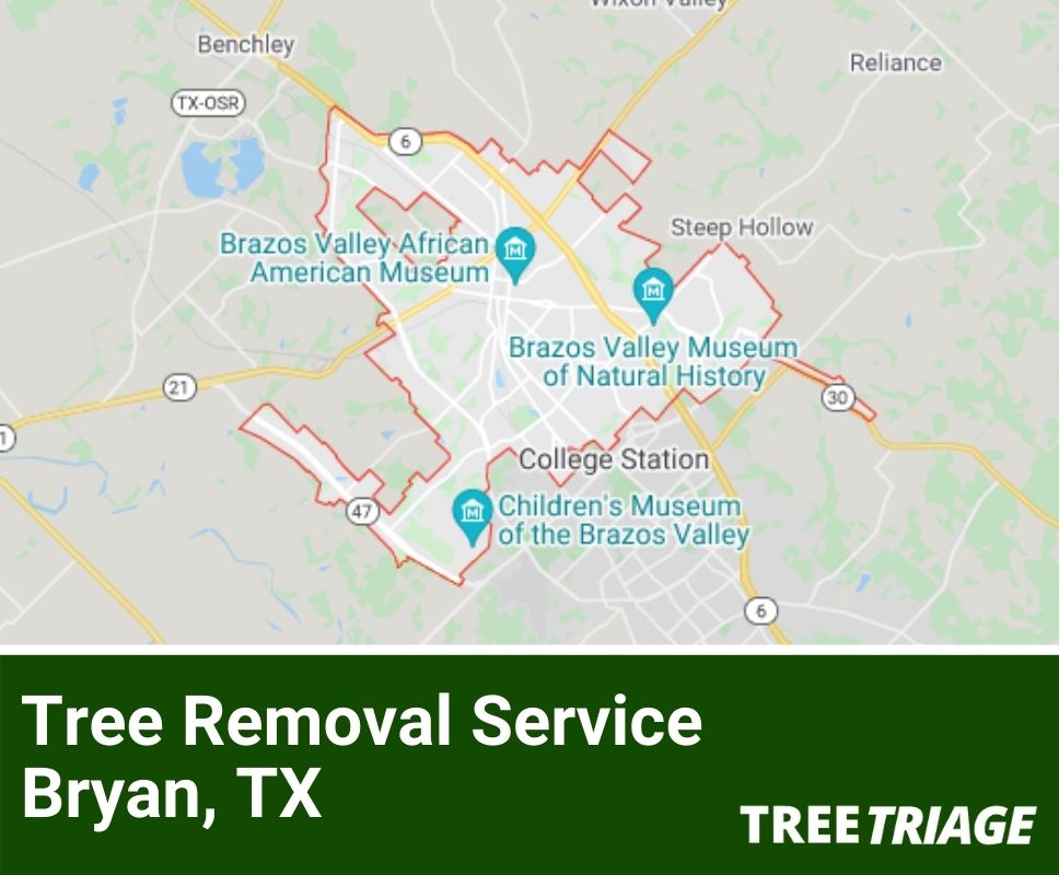 Tree Removal Service Bryan, TX-1
