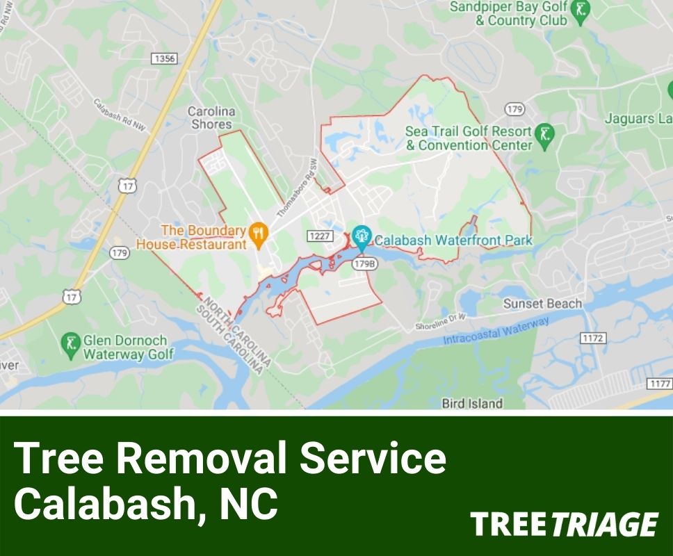 Tree Removal Service Calabash, NC-1
