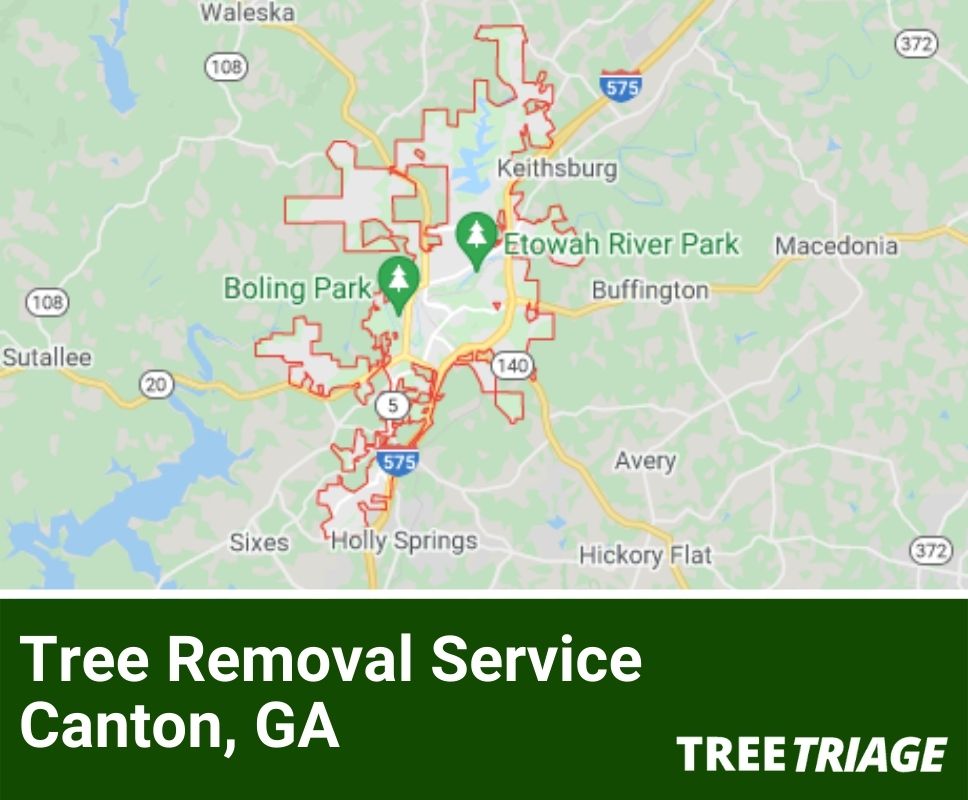 Tree Removal Service Canton, GA-1(2)