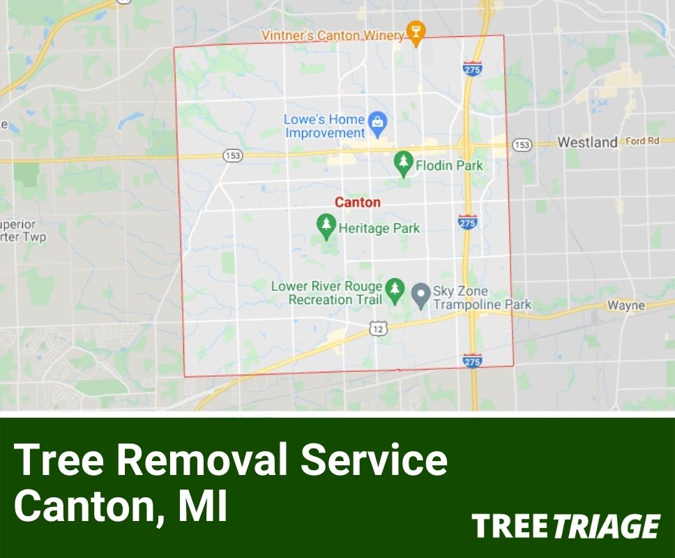 Tree Removal Service Canton, MI-1