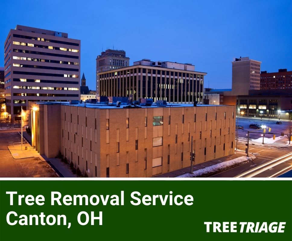 Tree Removal Service Canton, OH-1(1)